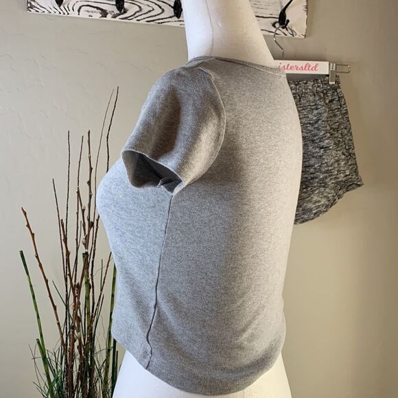 𝅺brandy Melville gray crop top V cut out at neckline short sleeves - Picture 4 of 13
